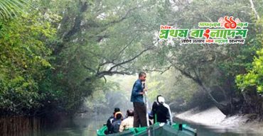 Sundarban.jpg